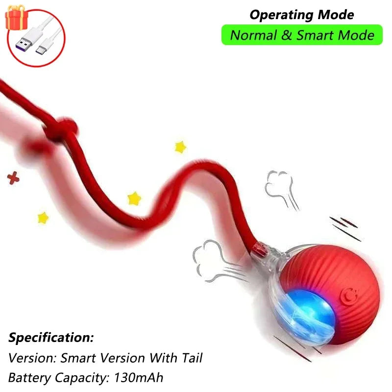 Petamin-C™ Smart & Rechargeable Interactive Ball