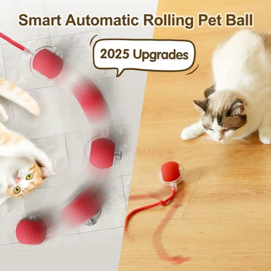 Petamin-C™ Smart & Rechargeable Interactive Ball