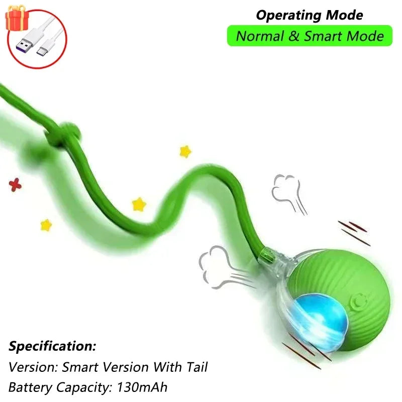 Petamin-C™ Smart & Rechargeable Interactive Ball