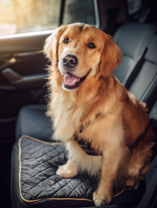 Petamin-C™ Pet Travel Front Seat Cover